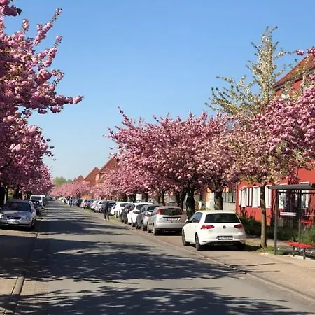 Citynahe Gemuetliche Mit Charme Bielefeld