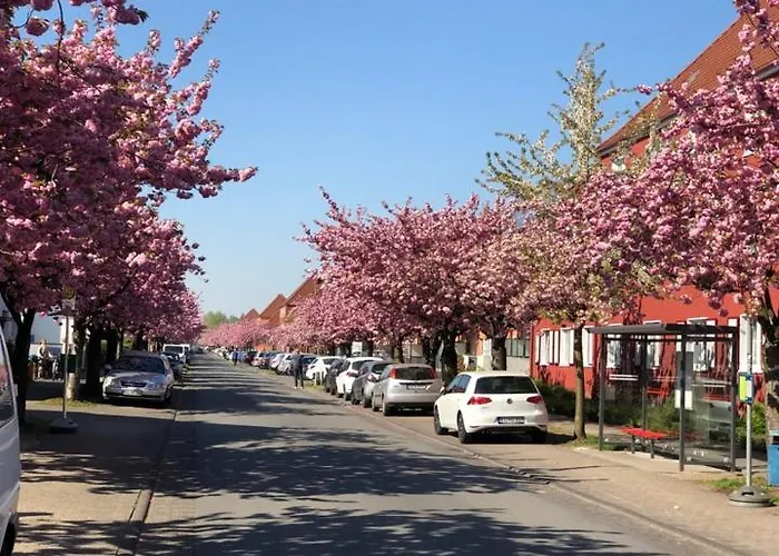 Citynahe Gemuetliche Mit 5 Schlafzimmern Bielefeld